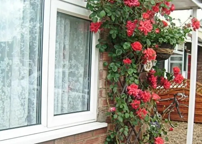 Rosa'S Bed And Breakfast