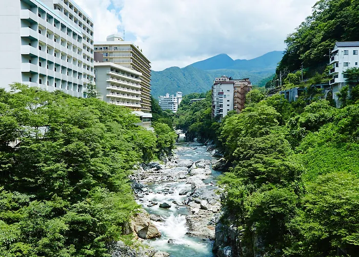 Ping Pong hotel: Kinugawa Onsen Hotel
