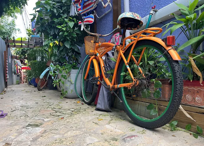 Coqui Del Mar Clothing Optional Adults Only Lgbtq