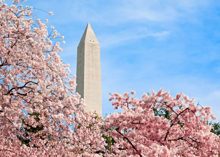 Airport Hotel: Hyatt Place Washington Dc/White House