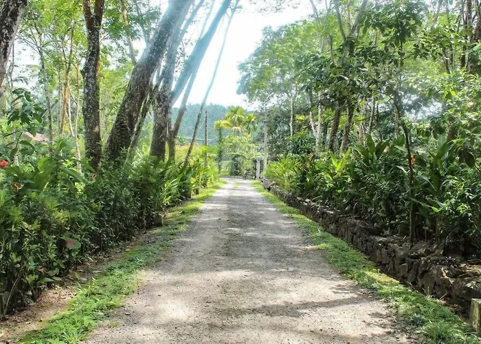 3 star hotel: Plantation Villa