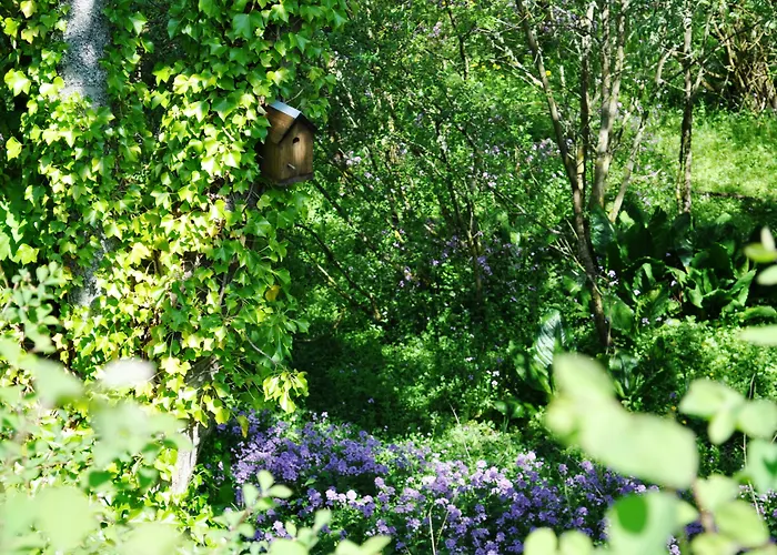 Villa: Craigmhor Lodge & Courtyard