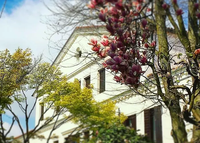 Villa Grimani