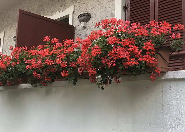 Hotel con tennis: Garni Villa Betty