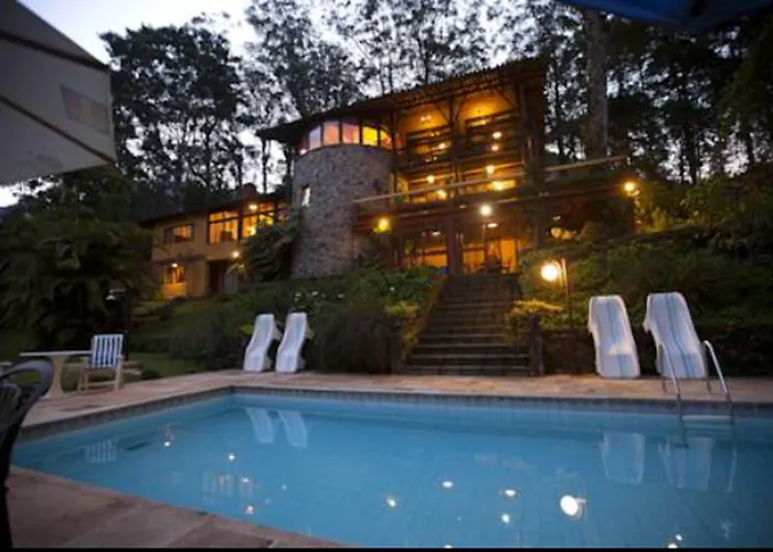 Bromélia Sabiá&Cia