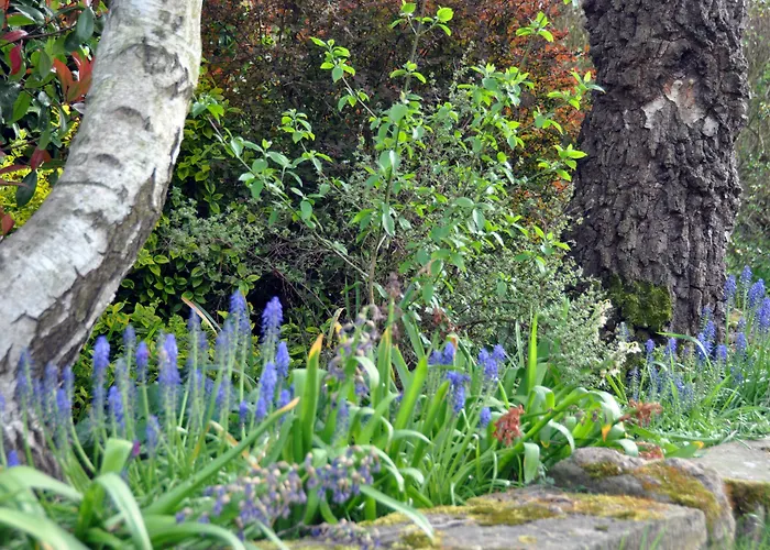 Bridleways Guesthouse & Holiday Homes