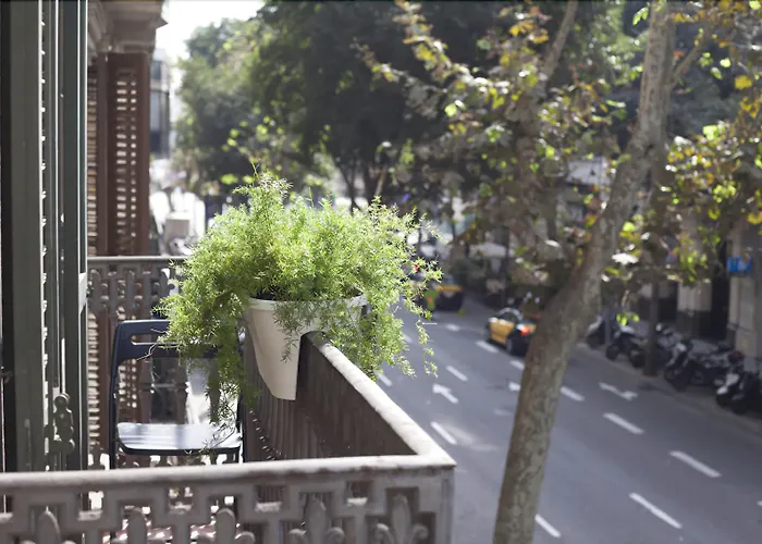 Amra Barcelona Caspe