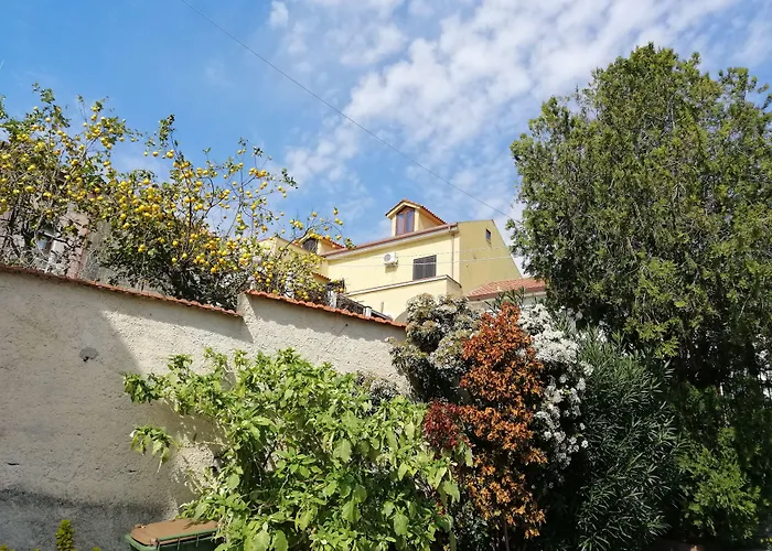 B&B Moscani