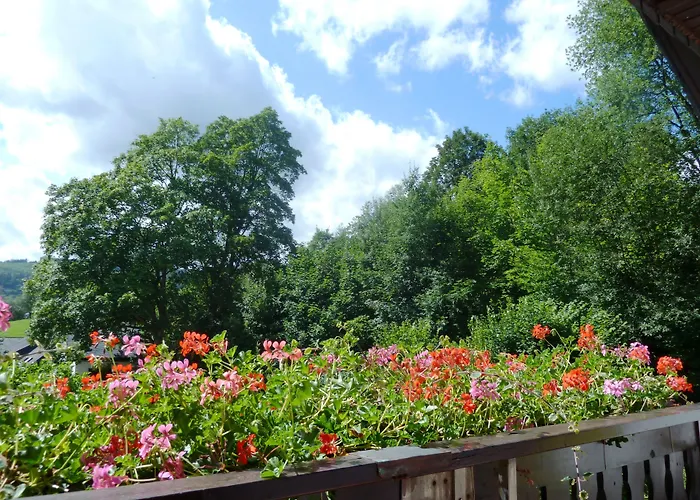 Pension Haus Waldfrieden, Meinecardplus Inklusive