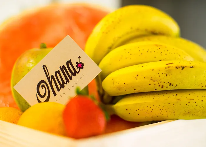 Hotel cerca del colegio: Ohana Tarifa Hostel