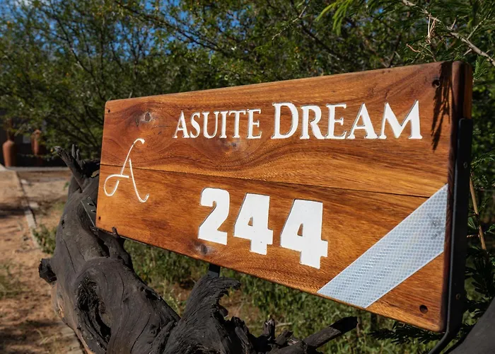 Asuite-Dream