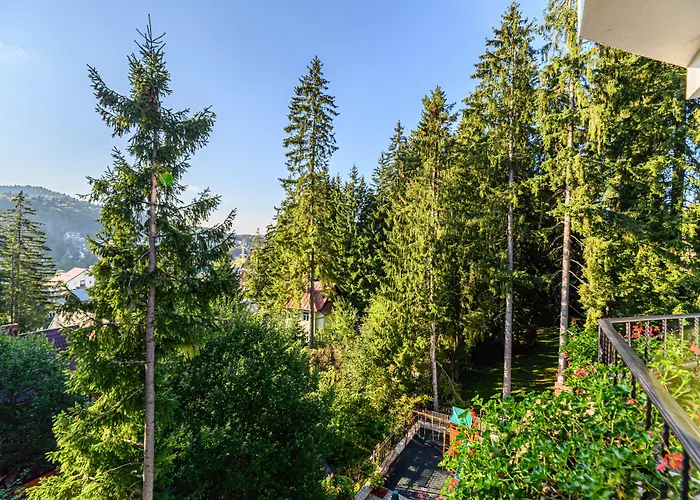 Pensiunea Hilltop