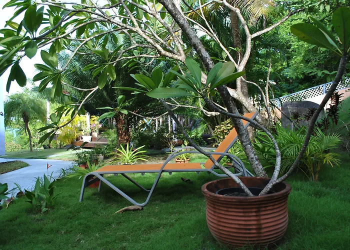 Villa Caribbean Dream