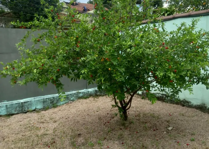 Jardim Paraíso