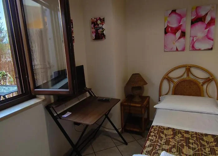 I Fiori di AminA Le Begonie
