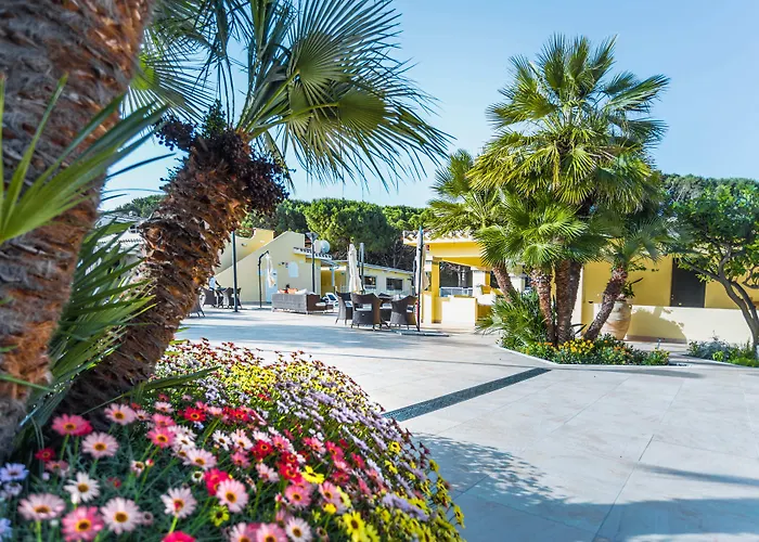 Hotel 3 stelle: Fiore Di Maggio