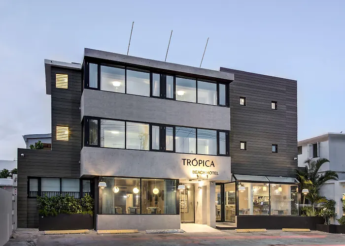 Pet Friendly hotel: Tropica Beach Hotel (Adults Only)