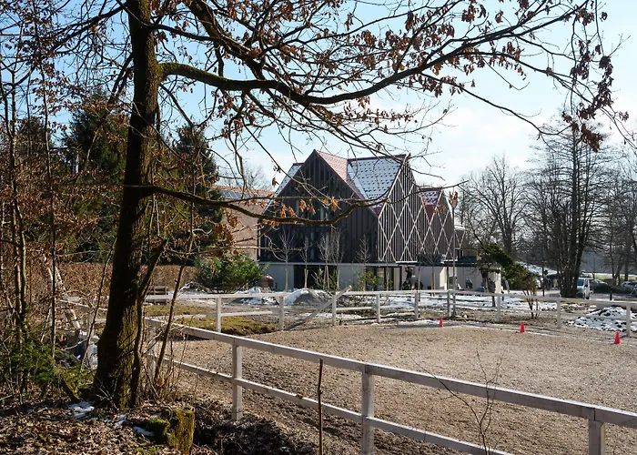 Hotel que admite mascotas: Hotel Cad