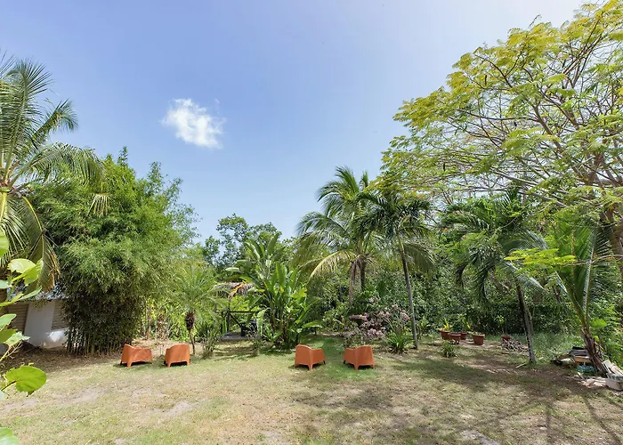 Vieques Tropical Guest House