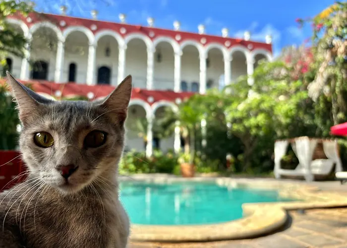 Villa Merida Boutique Hotel - Adults Only