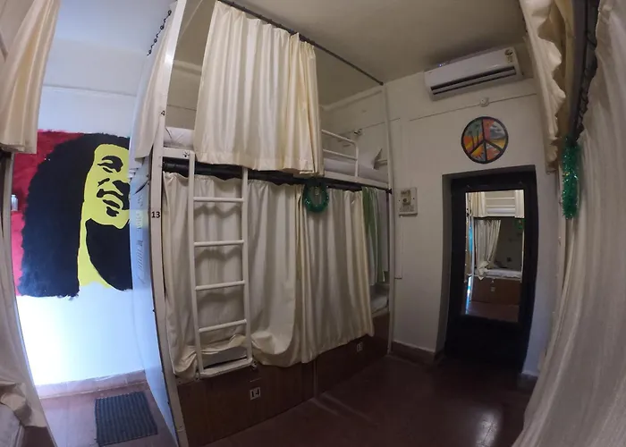 Hostel: Happy Panda Hostel Arambol Goa