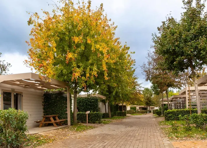 Campsite: Hu Firenze Camping In Town