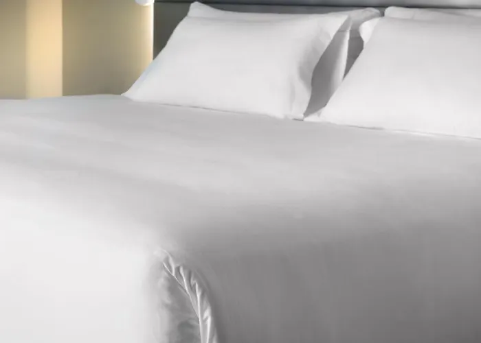 5 sterren hotel: Nh Collection Antwerp Centre