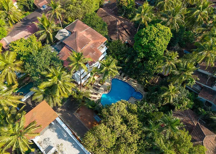 Olive Hotel Alidia Beach Resort By Embassy Group