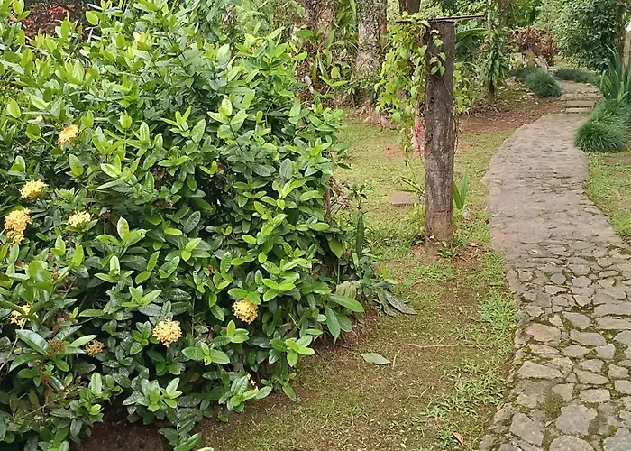 Armazém do Porto Chalé Ixora