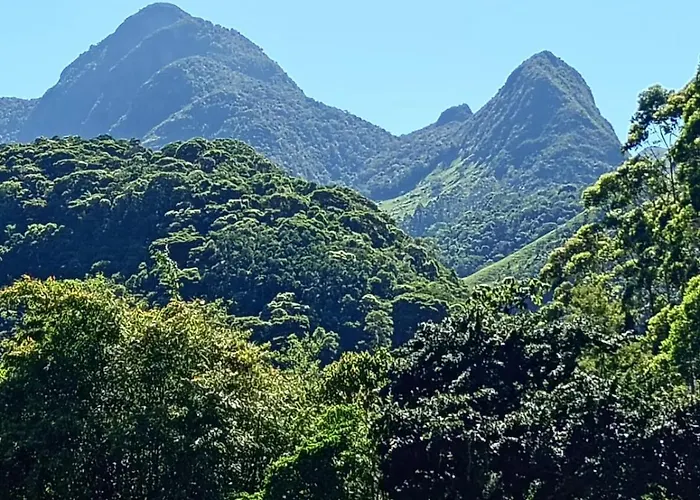 Suíte WILVIT