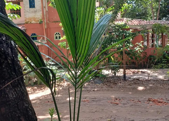 Solar Da Floresta