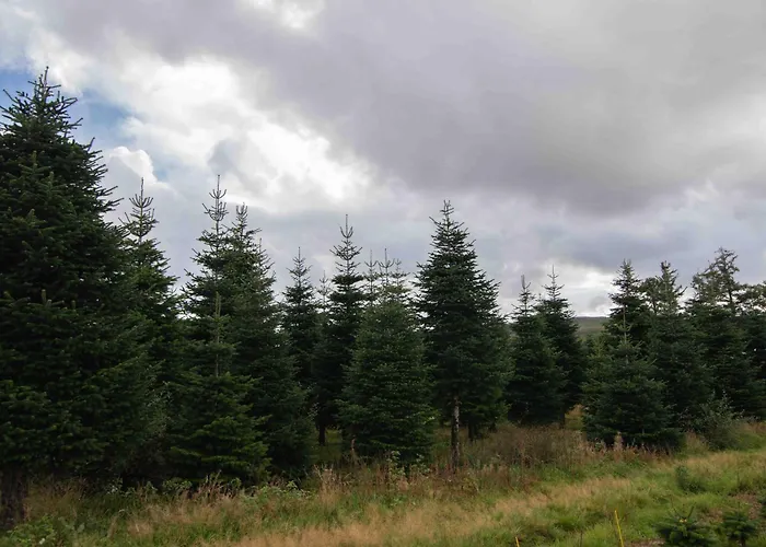 Edenmill Farm