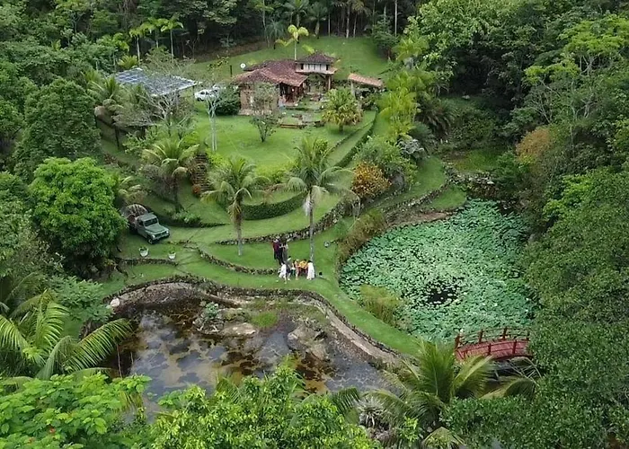 Guest House Tânia Alves