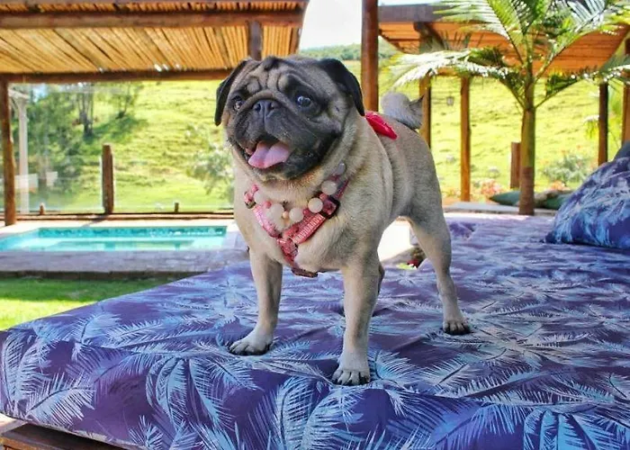 Villa Aye Socorro Sp - Pousada Petfriendly