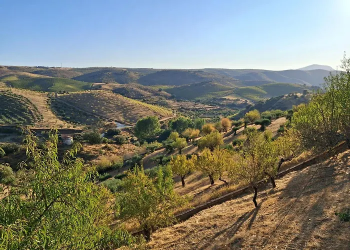 Casa Dos Primos