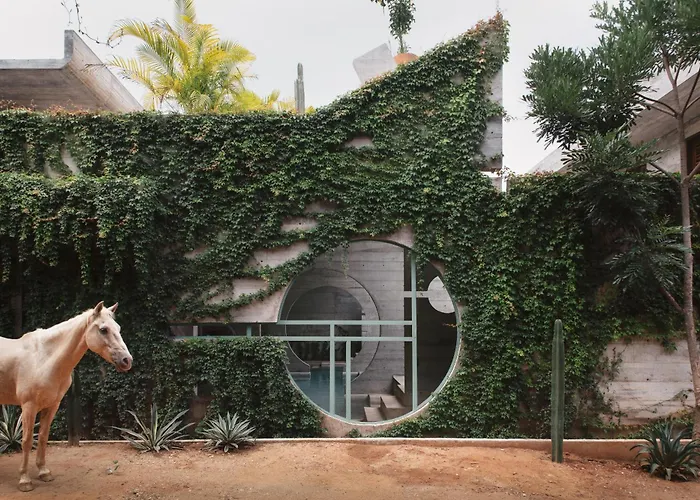 Dog friendly hotels Casa To - Adults Only
