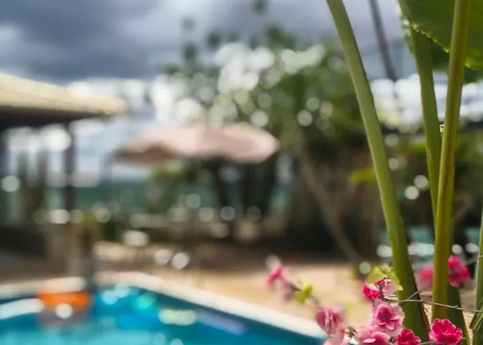 Eden Guest House Coworking