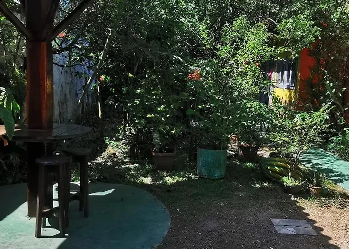 Verde & Sal 11
