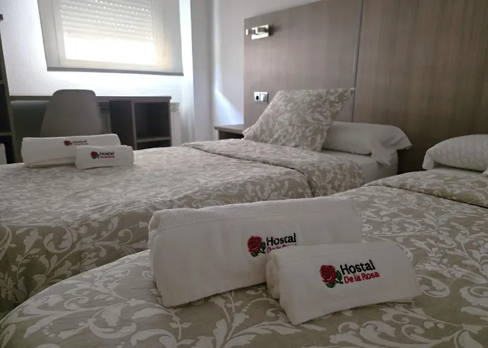 Hostal De la Rosa by Parque Warner Madrid