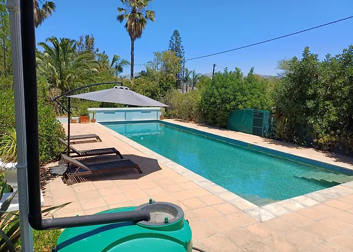 Pool House At The Old Victorian