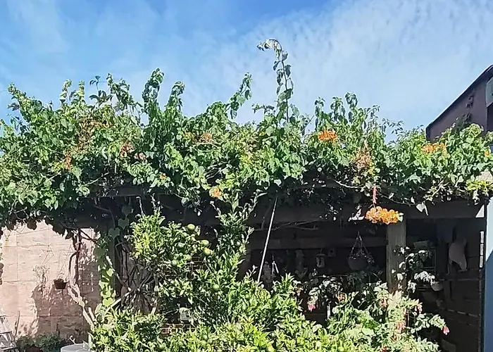 Kitnet da Elô