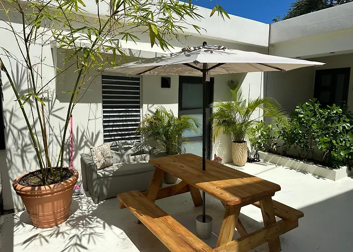 Tropical Studio
