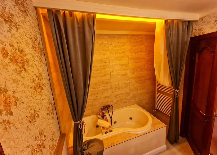Pensiunea Vlahia Inn