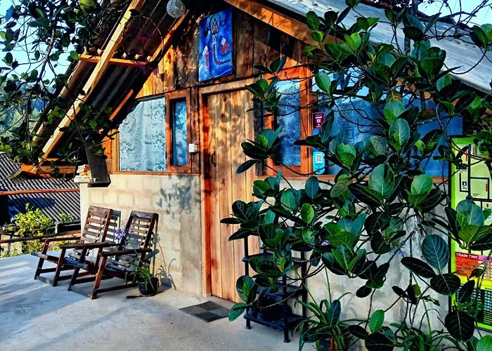 The Hostels Backpackers