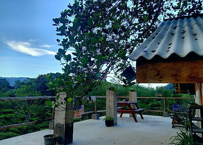 The Hostels Backpackers