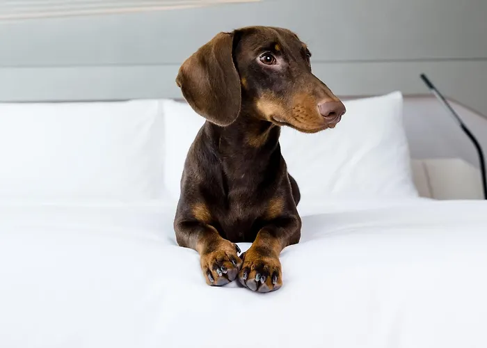 Hotel con vistas: Hotel Barcelona Condal Mar Affiliated by Meliá