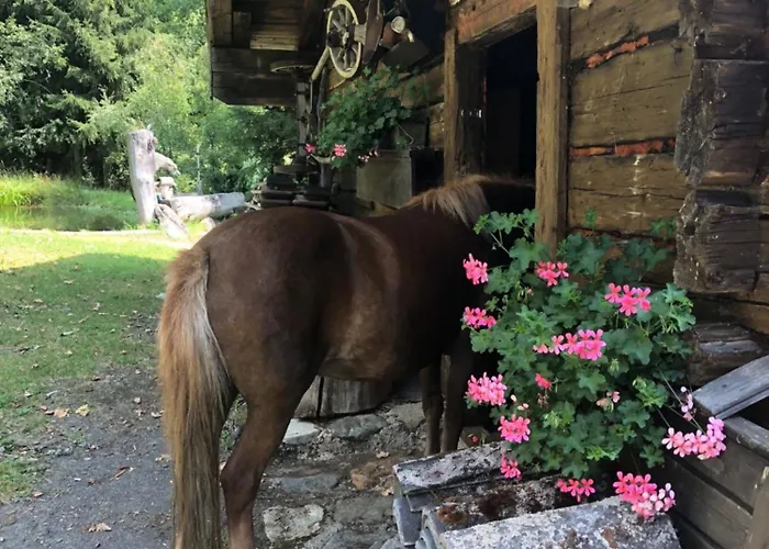 Familiehotel: Hotel Alpenwelt Superior