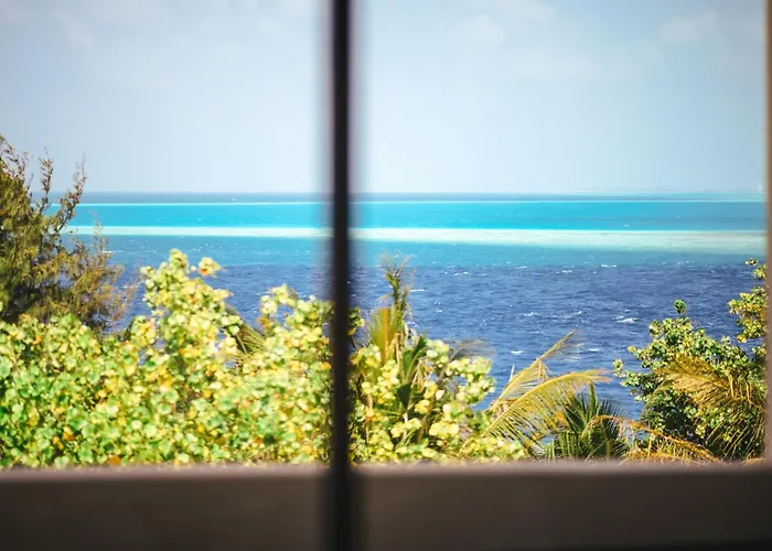 Season Paradise