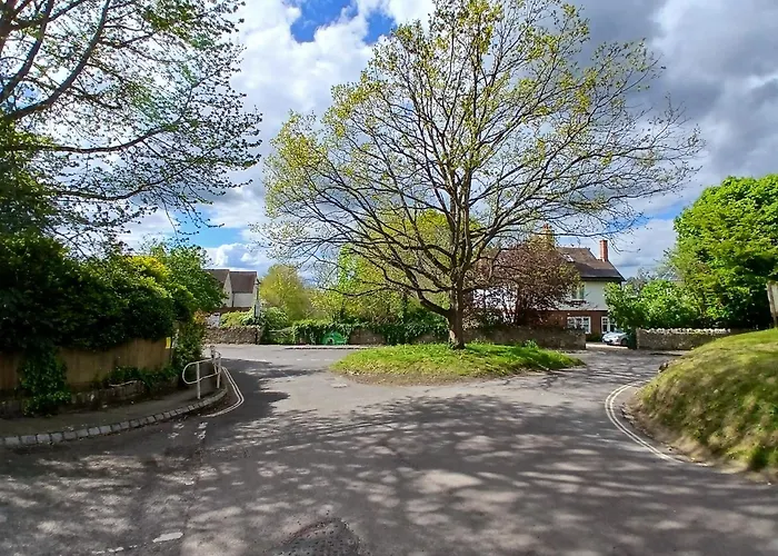 Family Hotel: Tree Hotel At Iffley