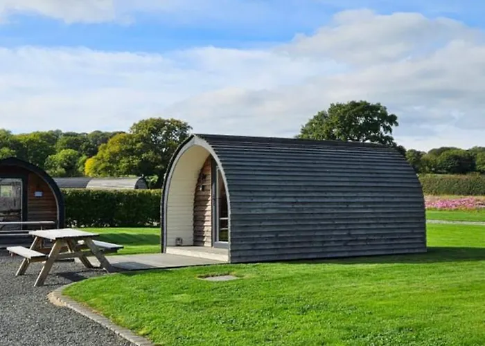 Eastridge Glamping - Camping Pods